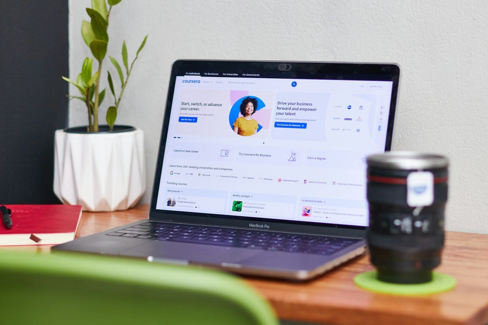 Laptop displaying a profile page with a plant.