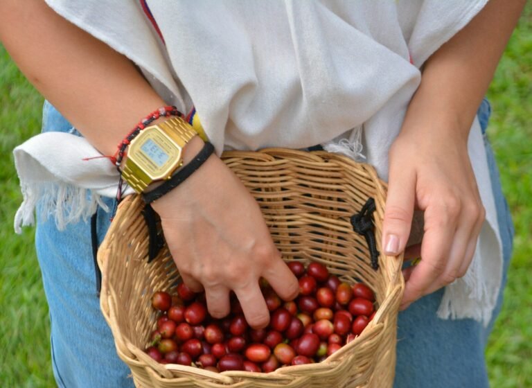 Jasa Pembuatan Website Kopi dan Roastery: Solusi Bangun Otoritas Brand di Pasar Global